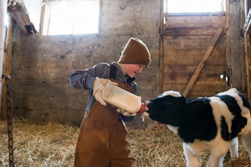 Россия на треть снизила зависимость от импорта молока